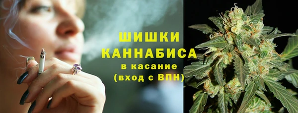 гидропоника Богородицк