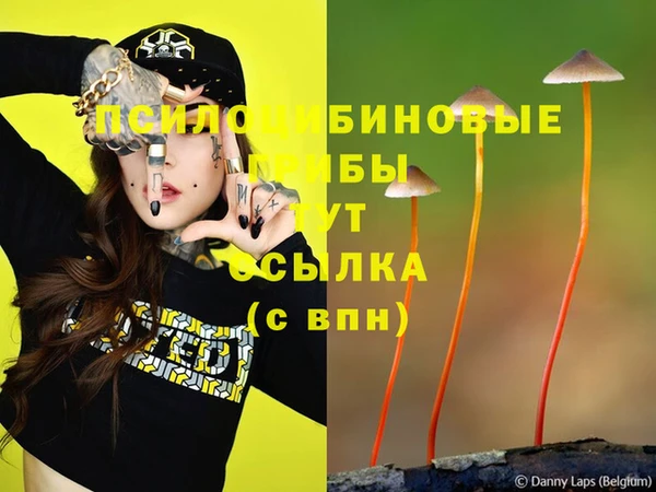 альфа пвп Богданович